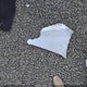 4T1DBADKXSU029851 2025 Toyota Camry Le auction photo thumbnail 12