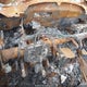 5N1AT2MV2EC843132 2014 Nissan Rogue Sv auction photo thumbnail 7