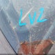 1J4GL58K22W106968 2002 Jeep Liberty Limited Edition auction photo thumbnail 9