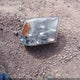 1D7RV1CT4AS145591 2010 Dodge Ram 1500 Slt/Sport/Trx auction photo thumbnail 12