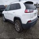 1C4PJMLX4KD231927 2019 Jeep Cherokee Latitude Plus 4X4 auction photo thumbnail 3