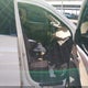 5XYZU3LA3DG082601 2013 Hyundai Santa Fe Sport 2.0T auction photo thumbnail 5