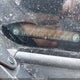 1HGFA16827L029889 2007 Honda Civic Ex auction photo thumbnail 12