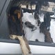 5XYKTDA63CG196685 2012 Kia Sorento Lx auction photo thumbnail 8