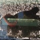 2G1WL52M3V1160439 1997 Chevrolet Lumina auction photo thumbnail 9