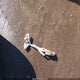 KMHFU45E24A356097 2004 Hyundai Xg350 L auction photo thumbnail 12