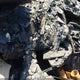 3VV3B7AX2LM143322 2020 Volkswagen Tiguan 2.0T Se/2.0T Se R-Line Black/2.0T Sel auction photo thumbnail 7