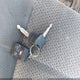 1FTRX18L82KB78057 2002 Ford F-150 Lariat/Xl/Xlt auction photo thumbnail 11
