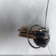 1D7HU18ZX2J252776 2002 Dodge Ram 1500 St auction photo thumbnail 11