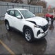 5NMJACDE1RH355331 2024 Hyundai Tucson Se auction photo thumbnail 1