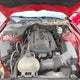 1FA6P8TH1H5204509 2017 Ford Mustang Ecoboost auction photo thumbnail 10
