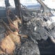 5XYPHDA51KG443358 2019 Kia Sorento 3.3L Ex auction photo thumbnail 5