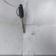 5XYPG4A51HG283462 2017 Kia Sorento 3.3L Lx auction photo thumbnail 11