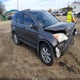 5J6RE38779L035393 2009 Honda Cr-V Ex-L auction photo thumbnail 1