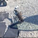 5NPE34AF9FH160932 2015 Hyundai Sonata Limited auction photo thumbnail 12