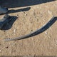 2G1WB55K669232301 2006 Chevrolet Impala Ls auction photo thumbnail 12