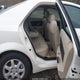1G6DP567550206925 2005 Cadillac Cts Standard auction photo thumbnail 8