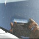 5XYPG4A31KG576283 2019 Kia Sorento 2.4L Lx auction photo thumbnail 9