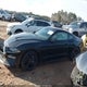 1FA6P8CF5M5157493 2021 Ford Mustang Gt Fastback auction photo thumbnail 14
