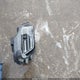 5XYP34GC2SG708261 2025 Kia Telluride Ex auction photo thumbnail 12