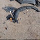 KM8HA3AB3RU180769 2024 Hyundai Kona Se auction photo thumbnail 12