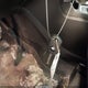 1FMCU0GD7HUC86875 2017 Ford Escape Se auction photo thumbnail 11