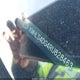KMHLS4DG4RU828463 2024 Hyundai Elantra Sel auction photo thumbnail 9
