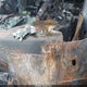 1FTPW14V67FB75434 2007 Ford F-150 Fx4/Lariat/Xlt auction photo thumbnail 9