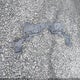 19XFB2F5XCE316245 2012 Honda Civic Lx auction photo thumbnail 12