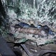 1HGFA16897L138110 2007 Honda Civic Ex auction photo thumbnail 9