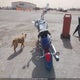 JYAVM01E36A095558 2006 Yamaha Xvs65 A auction photo thumbnail 6