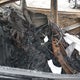1C3CDFEB3ED919140 2014 Dodge Dart Gt auction photo thumbnail 8