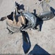 1FTER4FH5LLA96520 2020 Ford Ranger Lariat auction photo thumbnail 12