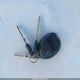 2G4WB55K111186211 2001 Buick Regal Ls auction photo thumbnail 11