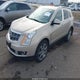 3GYFNCE33CS511953 2012 Cadillac Srx Premium Collection auction photo thumbnail 2