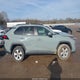 2T3W1RFV7KW031016 2019 Toyota Rav4 Xle auction photo thumbnail 13