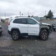 1C4PJMBS8GW337752 2016 Jeep Cherokee Trailhawk auction photo thumbnail 14