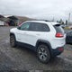 1C4PJMBS8GW337752 2016 Jeep Cherokee Trailhawk auction photo thumbnail 3