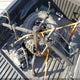 3TMCZ5AN5JM152946 2018 Toyota Tacoma Trd Sport auction photo thumbnail 12