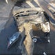 JN1BJ1CP9HW036270 2017 Nissan Rogue Sport Sl auction photo thumbnail 12