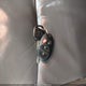 4T1BK36B05U040636 2005 Toyota Avalon Limited/Touring/Xl/Xls auction photo thumbnail 11