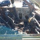 1FM5K7B85HGC62509 2017 Ford Explorer auction photo thumbnail 5