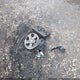 KL8CB6SA8KC703825 2019 Chevrolet Spark Ls Cvt auction photo thumbnail 12
