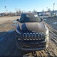 1C4PJMDS3HW647063 2017 Jeep Cherokee Limited 4X4 auction photo thumbnail 12