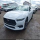 1FA6P8TH4R5107130 2024 Ford Mustang Ecoboost Fastback auction photo thumbnail 2