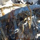 3GCPDBEK2RG221763 2024 Chevrolet Silverado 1500 4Wd Short Bed Custom auction photo thumbnail 7