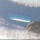 3FAHP08168R188696 2008 Ford Fusion Sel auction photo thumbnail 18