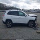 1C4PJLDN3KD353637 2019 Jeep Cherokee Limited Fwd auction photo thumbnail 13