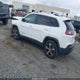 1C4PJLDN3KD353637 2019 Jeep Cherokee Limited Fwd auction photo thumbnail 3
