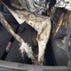 1FM5K7D80FGB58424 2015 Ford Explorer Xlt auction photo thumbnail 8